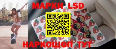 индика Кандалакша