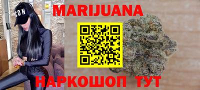 индика Кандалакша