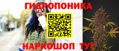 гидра Камышлов