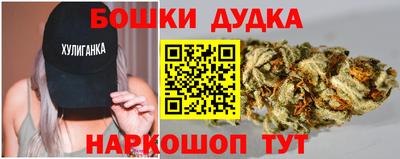 гидра Камышлов